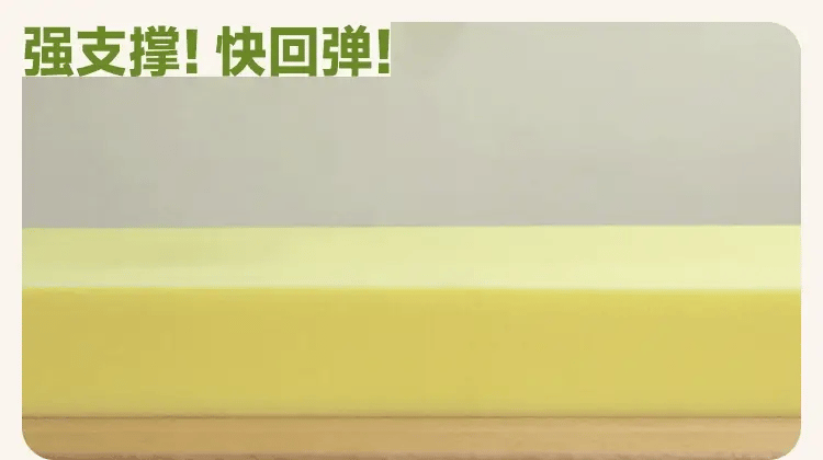 Beech Solid Wood Children's Modern Soft Bed