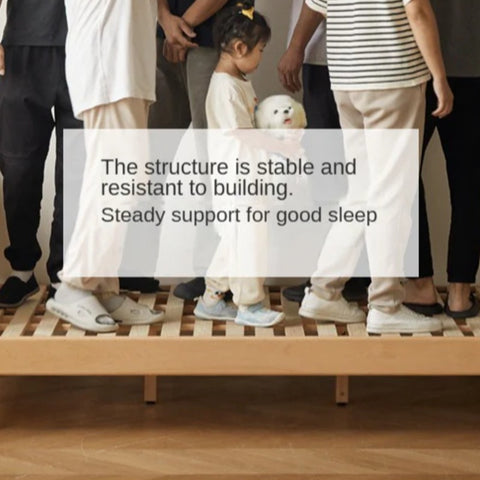 Beech Solid Wood Children's Single Bed