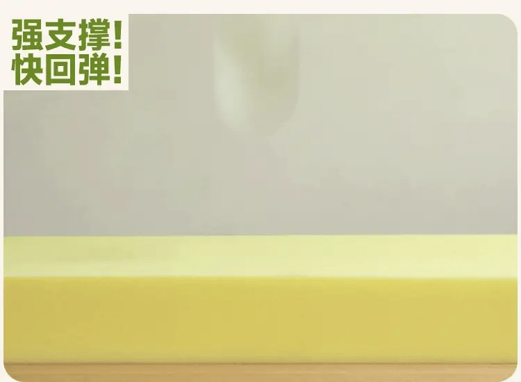 Beech Solid Wood with organic leather Modern Children's Girl Princess Bed<