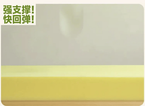 Beech Solid Wood with organic leather Modern Children's Girl Princess Bed<